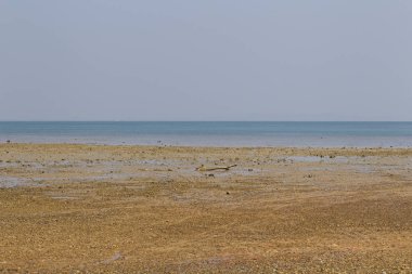 Sahil sonra düşük tide, okyanus ve ufuk, Railay Yarımadası, Krabi, Tayland
