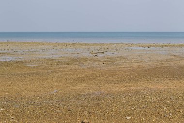 Sahil sonra düşük tide, okyanus ve ufuk, Railay Yarımadası, Krabi, Tayland
