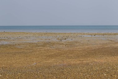 Sahil sonra düşük tide, okyanus ve ufuk, Railay Yarımadası, Krabi, Tayland