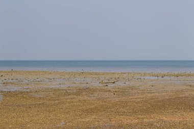 Sahil sonra düşük tide, okyanus ve ufuk, Railay Yarımadası, Krabi, Tayland