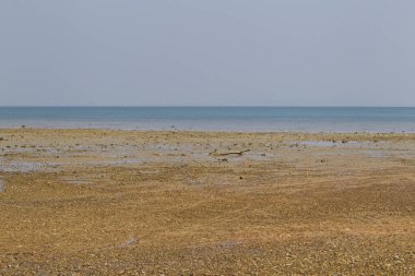 Sahil sonra düşük tide, okyanus ve ufuk, Railay Yarımadası, Krabi, Tayland