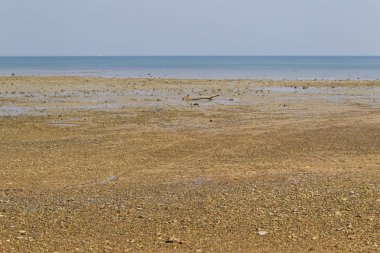 Sahil sonra düşük tide, okyanus ve ufuk, Railay Yarımadası, Krabi, Tayland