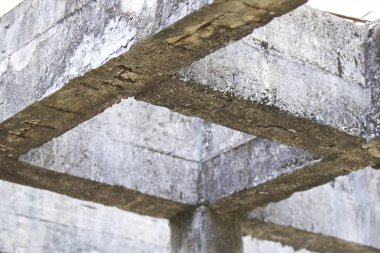 Güçlendirilmiş bina terk edilmiş eski orman yapılarda beton