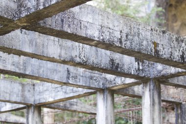 Güçlendirilmiş bina terk edilmiş eski orman yapılarda beton