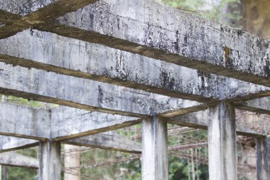 Güçlendirilmiş bina terk edilmiş eski orman yapılarda beton