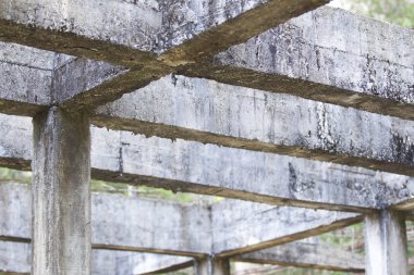 Güçlendirilmiş bina terk edilmiş eski orman yapılarda beton