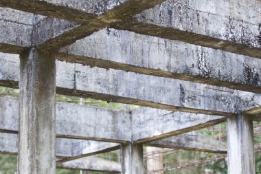 Güçlendirilmiş bina terk edilmiş eski orman yapılarda beton