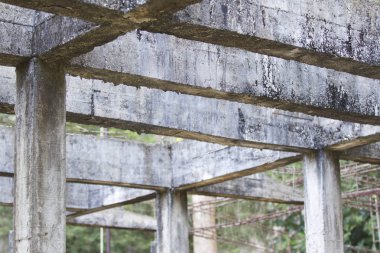 Güçlendirilmiş bina terk edilmiş eski orman yapılarda beton