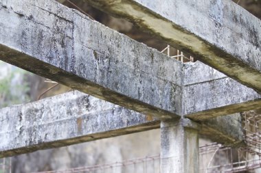 Güçlendirilmiş bina terk edilmiş eski orman yapılarda beton