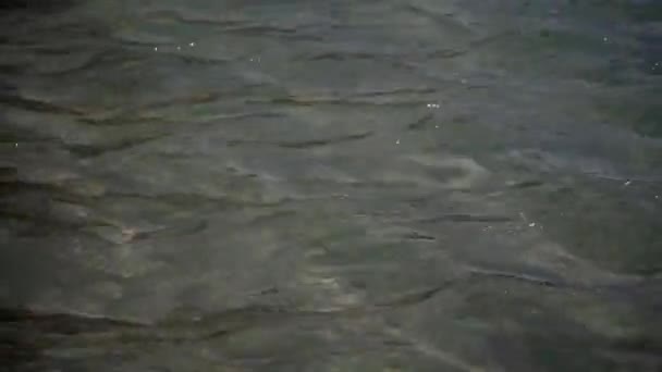 Clear Water Tropical Sea Island Cambodia — Stockvideo