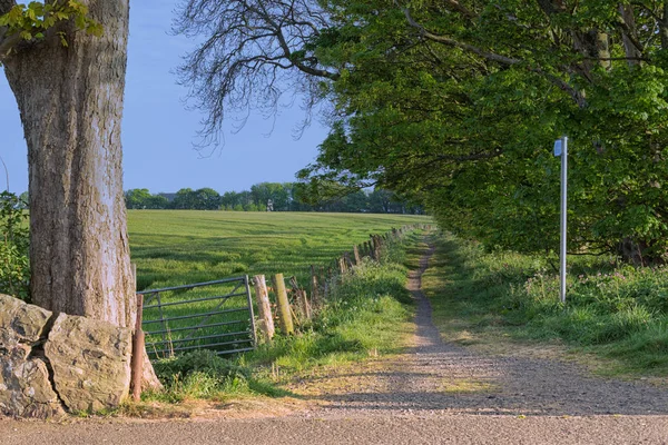 Country Footpath along a quiet country lane. — Stock Photo, Image