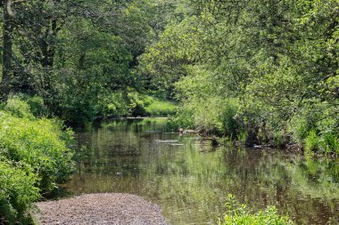 Sessiz bir İskoç dere