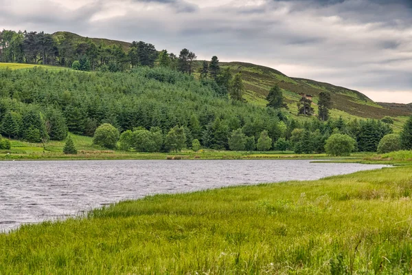 Jezioro Piperdam & Pines Forrest w Szkocji — Zdjęcie stockowe