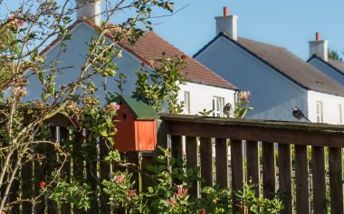 İki küçük Bahçe kuş kuş kutusunun yanındaki çit üzerinde