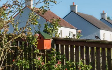 İki küçük Bahçe kuş kuş kutusunun yanındaki çit üzerinde