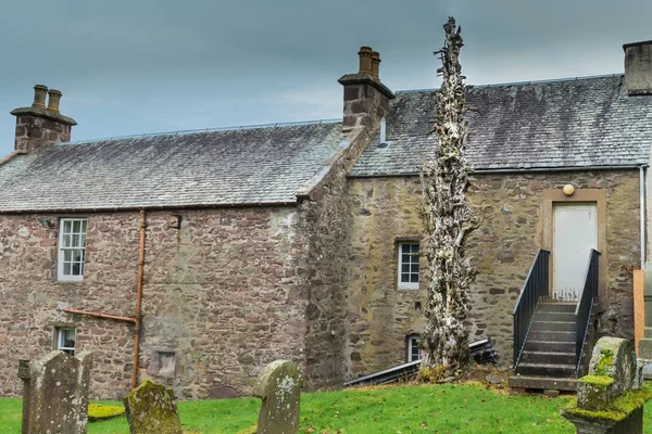 Strange Dead Tree Muthill Scotland.