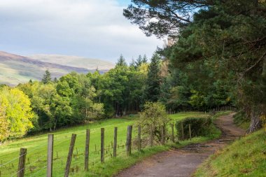 Scottish Country lane Crieff in Scotland clipart