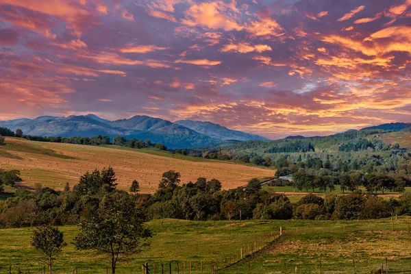 Ben Chonzie Hillside vid Sunset Crieff Perthshire Skottland. — Stockfoto