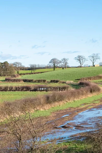 Scottish Fields och Hedgerows of Cunninghamhead i Irvine North — Stockfoto