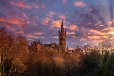 Geç öğleden sonra güneş Glasgow Üniversitesi görkemli kuleleri için ağaçların arasından arıyorsunuz.