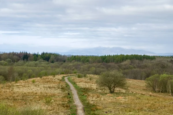 Guardando Giù Eglinton Estates Sentiero Ben Camminato Con Sua Foresta — Foto Stock