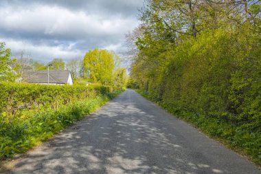 İlkbahar zamanı Perceton ormanlarının büyüsü ve yolda gölgeler olan güzel bir köy şeridi ya da yol.