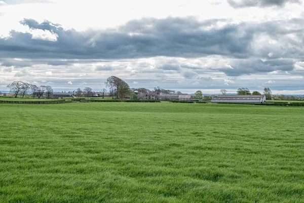 Campos Recién Plantados Perceton Irvine Escocia Mirando Sobre Tierras Cultivo — Foto de Stock