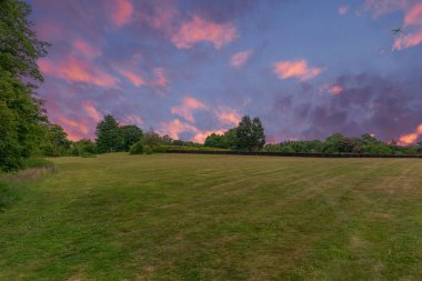 Uzaktaki güzel otlaklar ve ağaçlar. Çitler, uzaktaki ağaçlarla yabani ot alanlarını ayırır. İskoçya 'nın reklamı için iyi bir imaj.