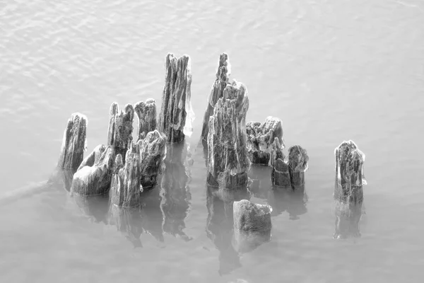 Daytime  black and white stock photo of remnants of icy wooden pylons protruding from Lake Erie in Buffalo, New York in Erie County. — Stock Photo, Image