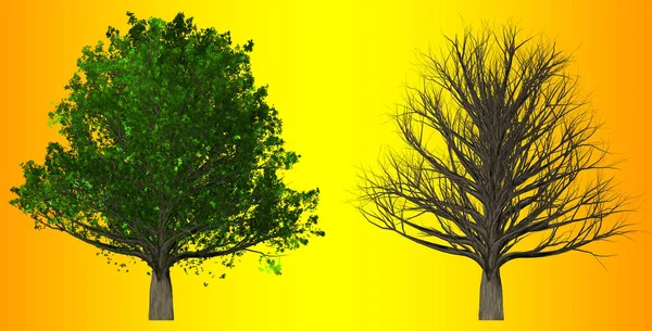 Albero isolato su sfondo astratto, Illustrazione 3D — Foto Stock