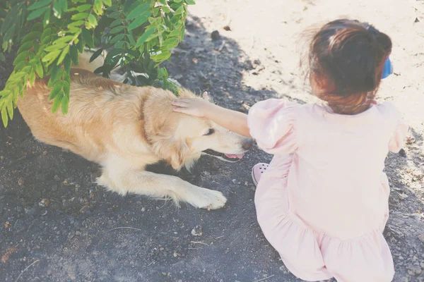 Köpek başına el.