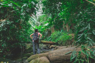 Kadın dinleniyor ve ormanı arıyor. Tayland ormanlarında gezinti arasında..