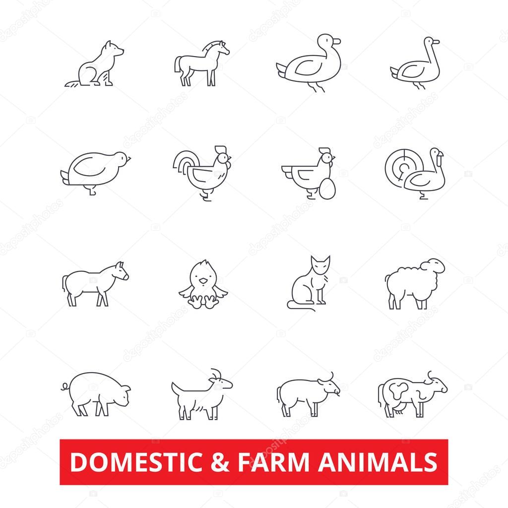 Domestic farm animals line icons. Cow, dog, cat, donkey, chicken, duck, goose, pig, sheep. Editable strokes. Flat design vector illustration symbol concept. Linear signs isolated on white background