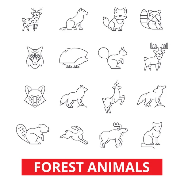 森林动物、 麋鹿、 狼、 狐狸、 兔子、 松鼠、 刺猬、 猎鹿，熊线图标。可编辑的笔画。平面设计矢量图符号的概念。孤立在白色背景上的线性迹象 — 图库矢量图片