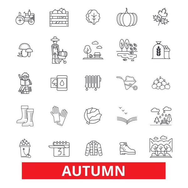 Herbst, Herbst, Laub, Jahreszeit, kaltes Wetter, Ernte, Erntedank, Feste säumen Ikonen. editierbare Striche. flache Design Vektor Illustration Symbolkonzept. lineare Zeichen isoliert auf weißem Hintergrund — Stockvektor