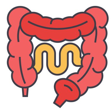 Bağırsak kavramı. Satırı vektör simgesi. Düzenlenebilir inme. Düz doğrusal illüstrasyon izole beyaz arka plan üzerinde