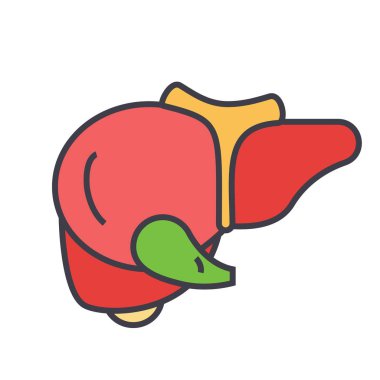 Karaciğer kavramı. Satırı vektör simgesi. Düzenlenebilir inme. Düz doğrusal illüstrasyon izole beyaz arka plan üzerinde