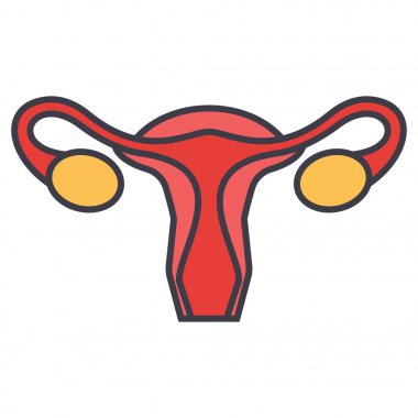 Rahim, kadın kadın hastalıkları kavramı. Satırı vektör simgesi. Düzenlenebilir inme. Düz doğrusal illüstrasyon izole beyaz arka plan üzerinde