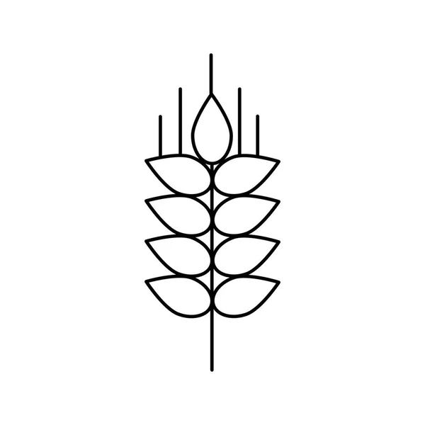 Grain de blé ligne vectorielle icône, signe, illustration en arrière-plan, touches modifiables — Image vectorielle