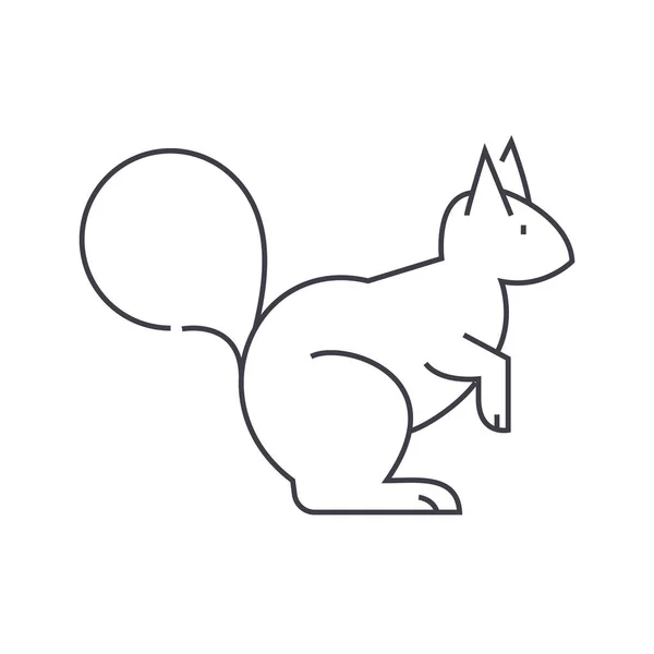 Ikona linii wektor wiewiórka, znak, ilustracja na tle, edytowalne obrysy — Wektor stockowy