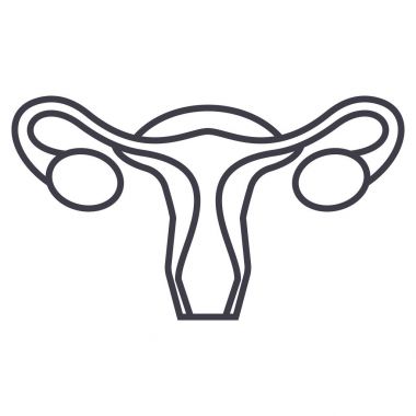 Rahim, kadın kadın hastalıkları vektör satırı simgesi, işaret, resimde arka planda, düzenlenebilir vuruş