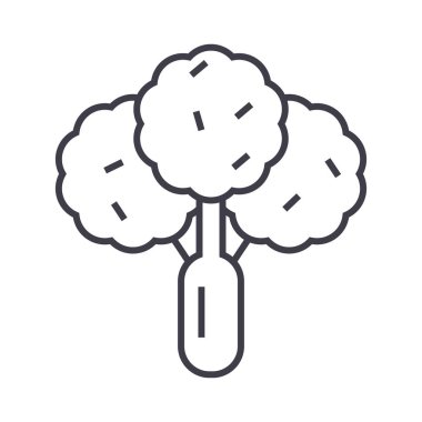 brokoli, salata vektör satırı simgesi, işaret, resimde arka planda, düzenlenebilir vuruş