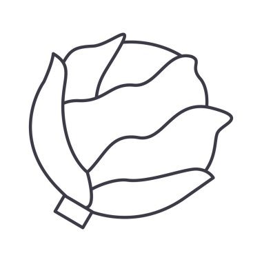 lahana vektör satırı simgesi, işaret, resimde arka planda, düzenlenebilir vuruş