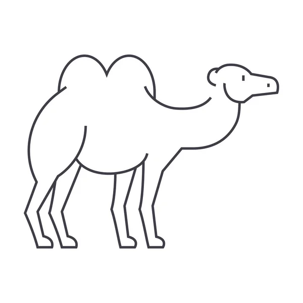 Kamelvektorlinien-Symbol, Zeichen, Abbildung im Hintergrund, editierbare Striche — Stockvektor