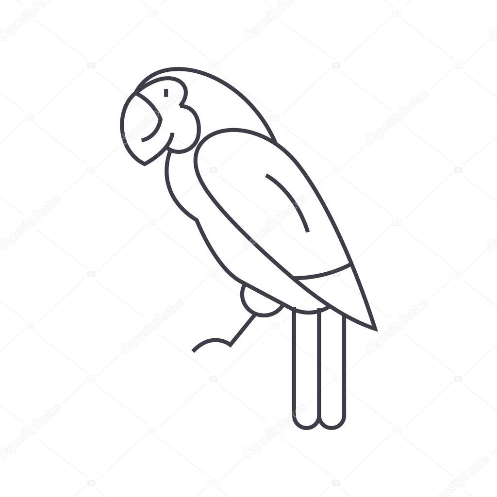 Parrot vector line icon, sign, illustration on white background, editable strokes