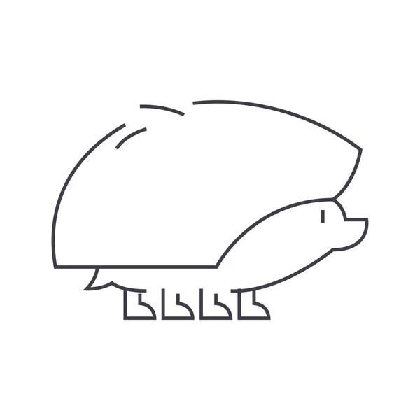 Hedgehog vetor ícone de linha, sinal, ilustração em segundo plano, traços editáveis —  Vetores de Stock