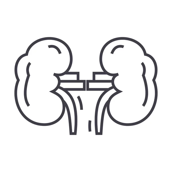 腎臓ベクトル線のアイコン, サイン, 背景には、編集可能なストロークの図 — ストックベクタ