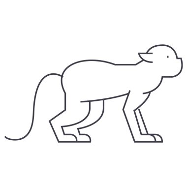 maymun vektör satırı simgesi, işaret, resimde arka planda, düzenlenebilir vuruş