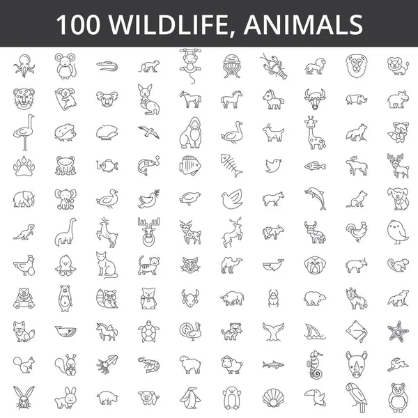 Vida silvestre africano, mar, doméstico, bosque, animales del zoológico, gato, perro, lobo, zorro, tigre, peces, oso, caballo, dino, rinoceronte, iconos de línea de mono, signos. Concepto de vector de ilustración. Golpes editables — Archivo Imágenes Vectoriales