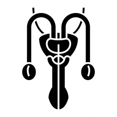 Erkek cinsel organları kutsal kişilerin resmi, vektör çizim, izole arka plan üzerinde siyah işareti